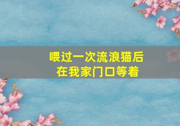 喂过一次流浪猫后 在我家门口等着